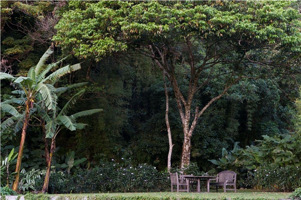 The Haven - Hotel & Spa, - Adults Only Boquete Esterno foto