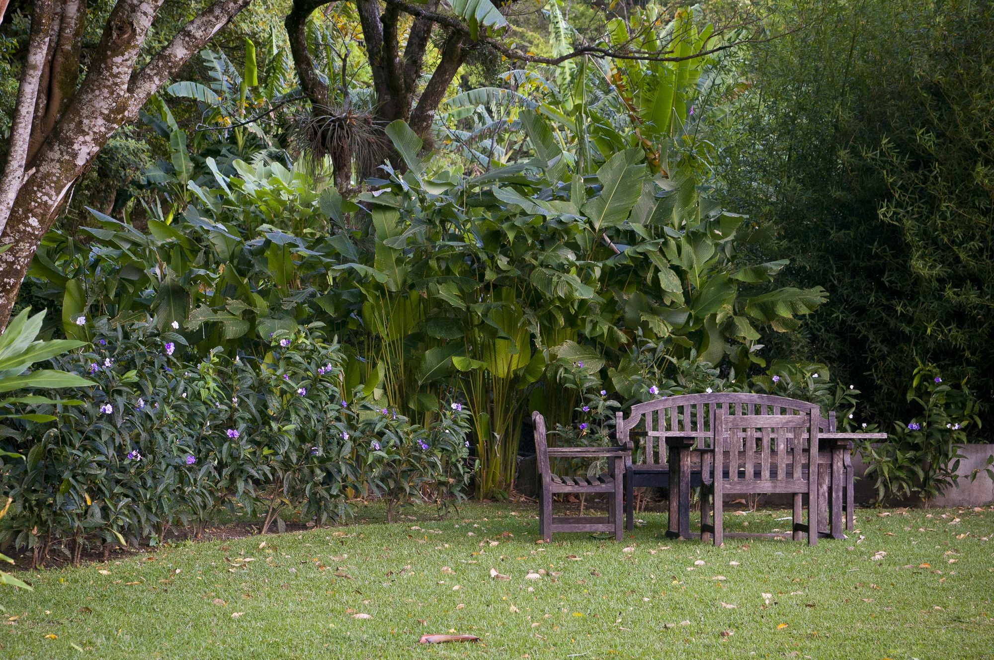 The Haven - Hotel & Spa, - Adults Only Boquete Esterno foto