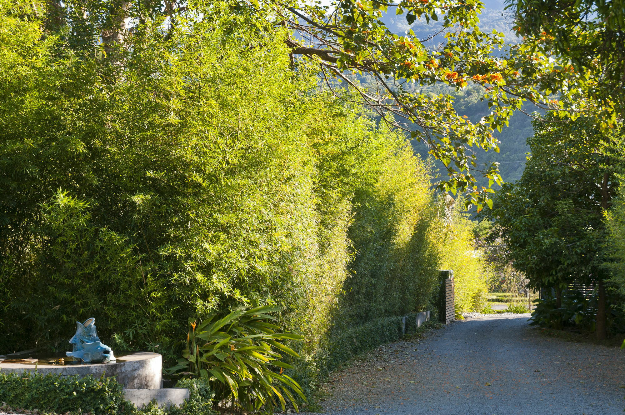The Haven - Hotel & Spa, - Adults Only Boquete Esterno foto